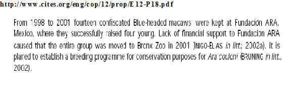 Microsoft Office Word Document